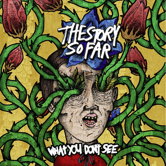 The Story So Far - What You Dont See (Vinyl)